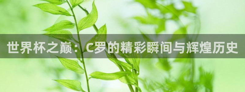 欧洲世界杯预选赛：世界杯之巅：C罗的精彩瞬间与辉煌历史