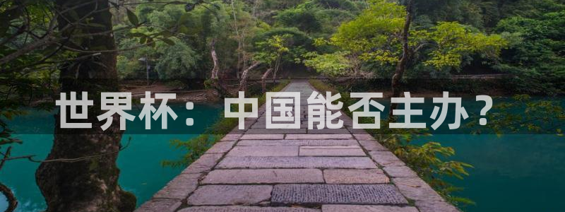 葡萄牙世界杯赛程：世界杯：中国能否主办？