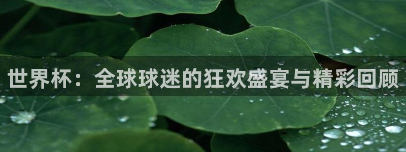 世界杯小组赛赛程：世界杯：全球球迷的狂欢盛宴与精彩回顾