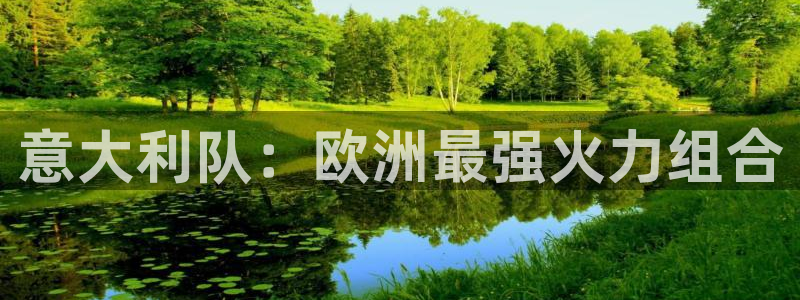 世界杯附加赛赛程表：意大利队：欧洲最强火力组合