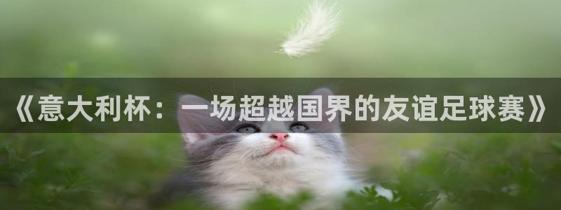 亚洲杯比赛直播：《意大利杯：一场超越国界的友谊足球赛》