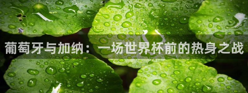 世界杯 中国：葡萄牙与加纳：一场世界杯前的热身之战