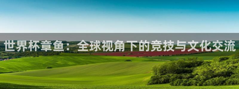 2026足球世界杯：世界杯章鱼：全球视角下的竞技与文化交流