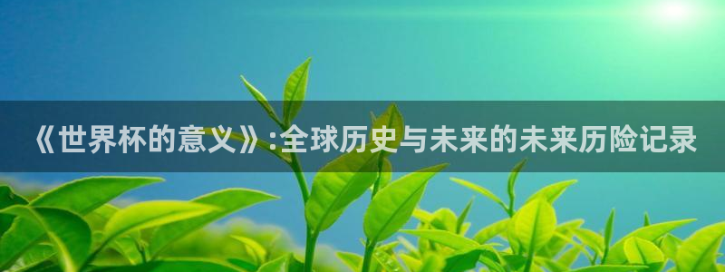2026葡萄牙杯赛程表：《世界杯的意义》:全球历史与未来的未来历险记录